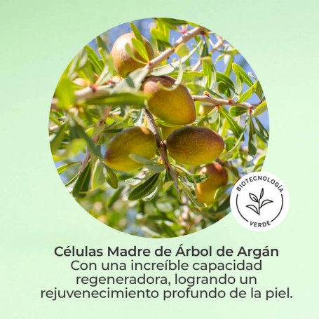 SEGLE CLINICAL Cellular Plus Crema 50ml